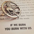 "If We Burn, You Burn With Us" - the-hunger-games photo