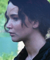              Katniss - the-hunger-games fan art
