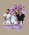                Paramore - paramore fan art