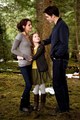              The Cullens - twilight-series photo
