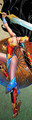                    Wonder Woman - wonder-woman photo