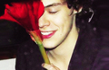 @harry_styles: The people look like flowers at last. - harry-styles photo