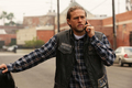 7x12 - Red Rose - Jax - sons-of-anarchy photo