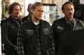 7x12 - Red Rose - Tig, Jax and Chibs - sons-of-anarchy photo