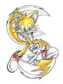 A Tails Draw - miles-tails-prower photo
