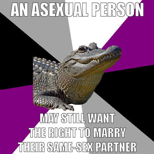 http://images6.fanpop.com/image/photos/37800000/Asexual-Alligator-asexuality-37893399-500-500.jpg
