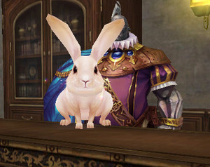  Bunny at the auction house