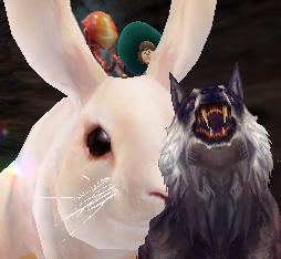 Giant bunny loves vicious wolf