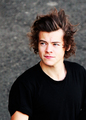 Harry                - one-direction photo