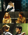 Hermione/Harry ☆ - harry-and-hermione photo
