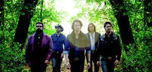 Home Free forest