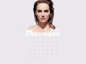 NP.COM Calendar - December