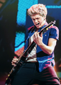 Niall Horan                   - one-direction photo