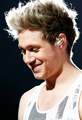 Niall            - one-direction photo