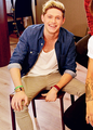 Niall            - one-direction photo
