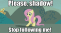 Please, Shadow! - my-little-pony-friendship-is-magic photo