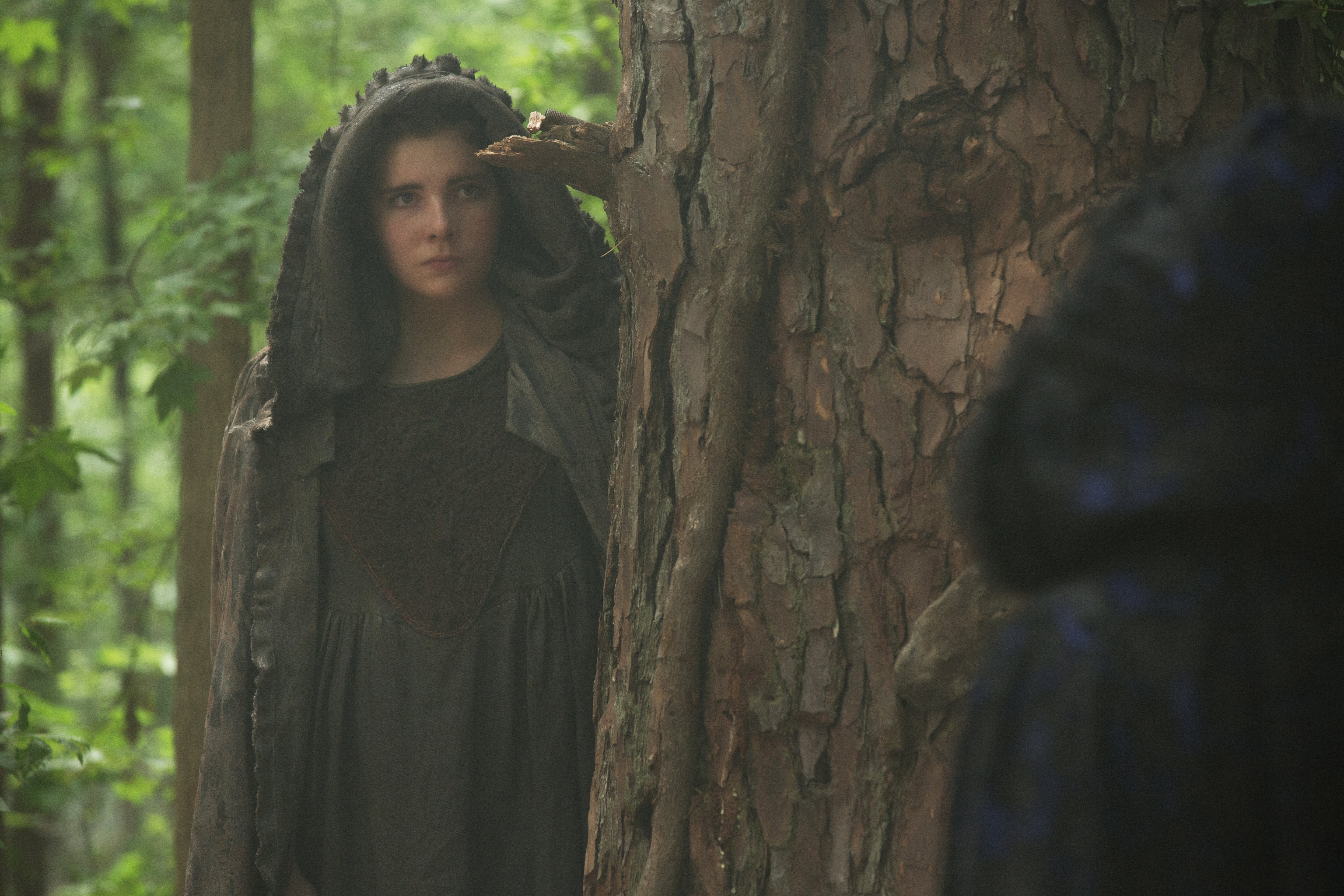 Photo of Salem "Cat And Mouse" (1x11) promotional picture f...