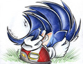 Scared Sonic < - sonic-the-hedgehog photo