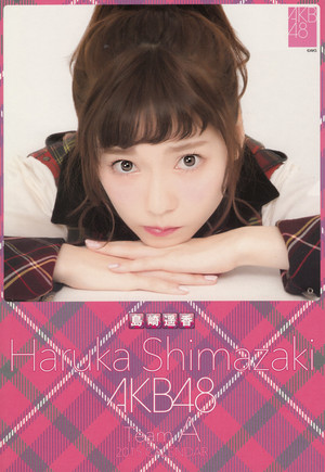 Shimazaki Haruka 2015 Calendar