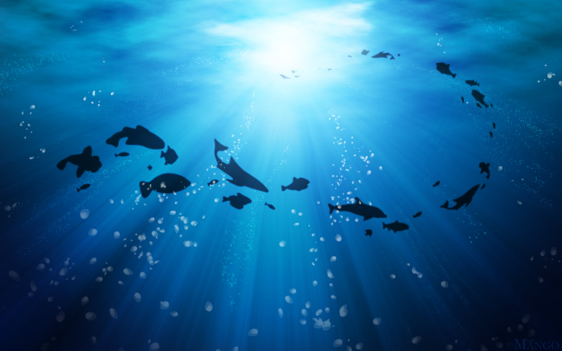 Swimming Fish Wallpaper - Ocean