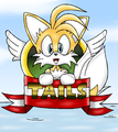 Tails' Game - miles-tails-prower photo