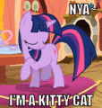Twilight's a Kitty Cat! - my-little-pony-friendship-is-magic photo