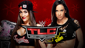 WWE TLC 2014