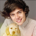 harry and a puppy - harry-styles photo