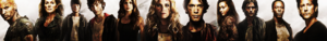 the 100 banner