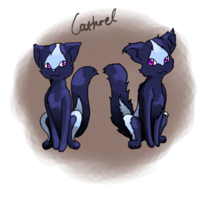  (Haron Pokemon Designs) Cathrel