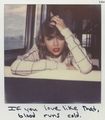  Taylor Polaroids - taylor-swift photo