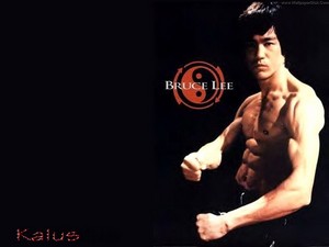  Bruce Jun प्रशंसक Lee(1940– 1973)