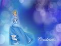 Cinderella   - disney-princess photo
