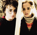 Harry and Hermione  - harry-potter photo