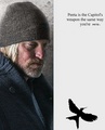 Haymitch Abernathy - the-hunger-games fan art