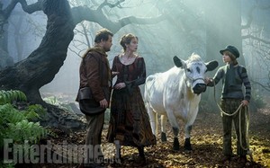  Into the Woods movie