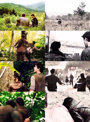  Katniss and Gale | The Hunger Games vs. Catching moto