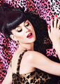 Katy Perry              - katy-perry fan art