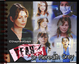 Meredith grey