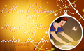 Merry Christmas 2014 & Happy New Year 2015 avatar_tla_fan! - christmas photo