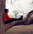 Michael loved climing trees - michael-jackson photo