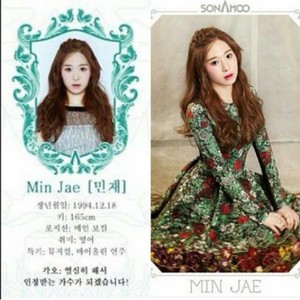 Minjae's individual profile picture
