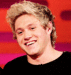 Niall Horan                - one-direction icon