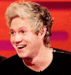 Niall Horan                - one-direction icon