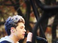 Niall       - one-direction photo