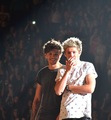 Nouis           - one-direction photo