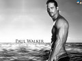 celebrities-who-died-young - Paul Walker ( 1973 -  2013) wallpaper