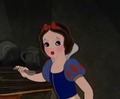 Snow White's calling bird look - disney-princess photo
