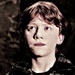 The Chamber of Secrets - fred-and-hermie icon