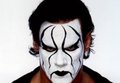 TheScary  Sting - wwe photo